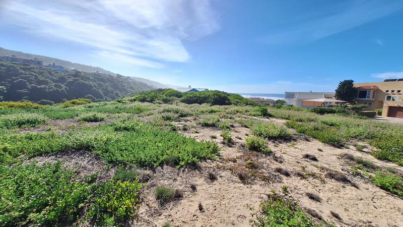 0 Bedroom Property for Sale in Outeniqua Strand Western Cape